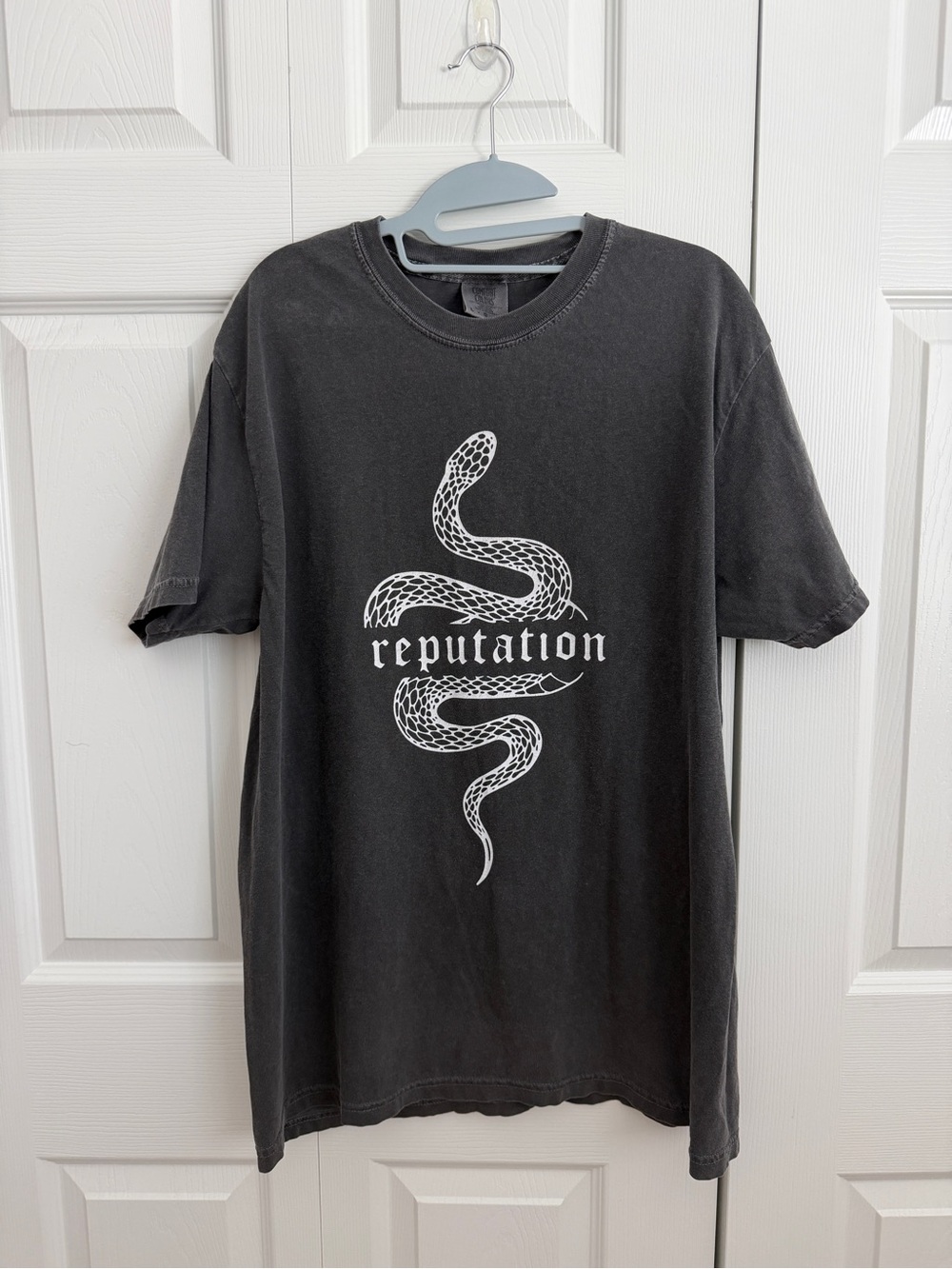 Reputation Snake Graphic T-Shirt - Gray
